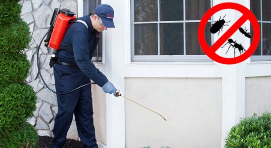 Abana Böcek ve Haşere İlaçlama böcek ilaçlama ve haşere kontrolü — ilaclama-tr.com